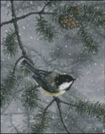 (image for) Blizzard